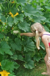 Hilary's Home Daycare & Preschool - Pumpkin Vine Tunnel
