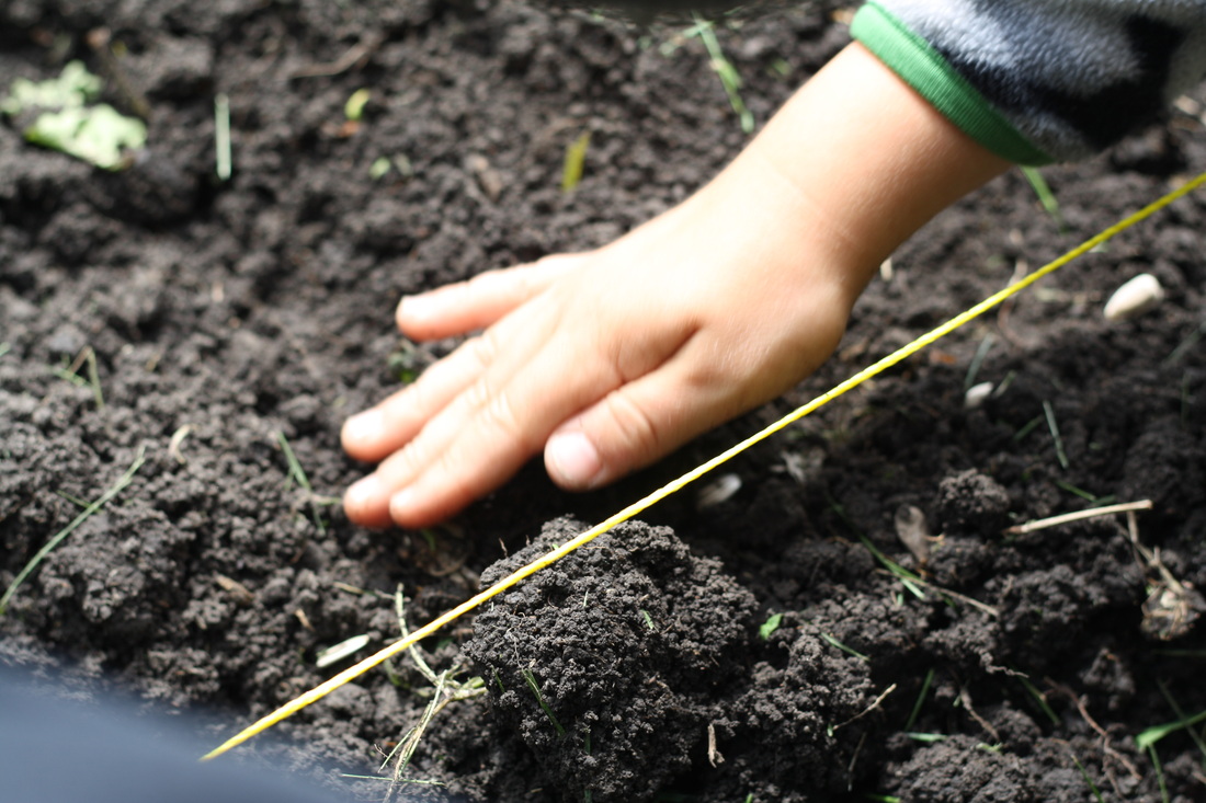 Planting a Vegetable Garden - Hilary's Home Daycare