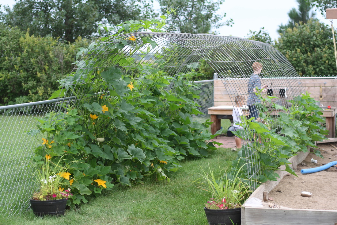 Hilary's Home Daycare & Preschool - Pumpkin Vine Tunnel