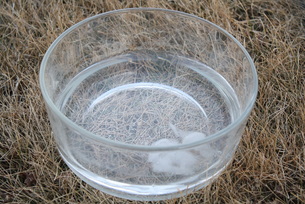 Melting ice preschool science