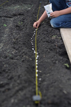 Planting a vegetable garden - Hilary's Home Daycare