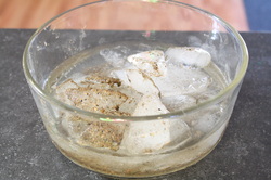 Melting ice preschool science