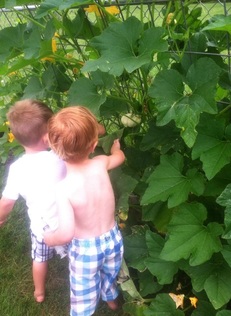 Hilary's Home Daycare & Preschool - Pumpkin Vine Tunnel